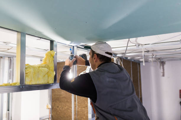 Best Insulation Maintenance and Repair in Shelton, CT
